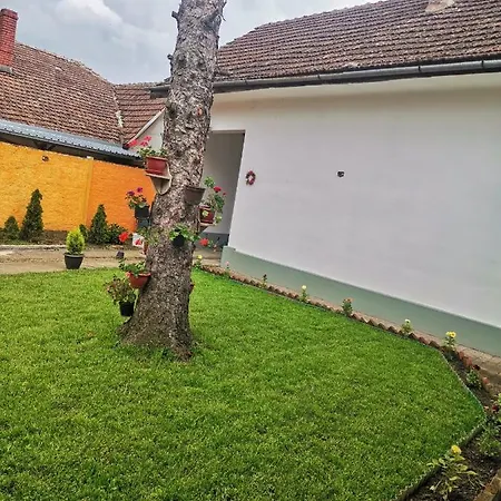 T.i.m. * Bela Crkva (Banat)