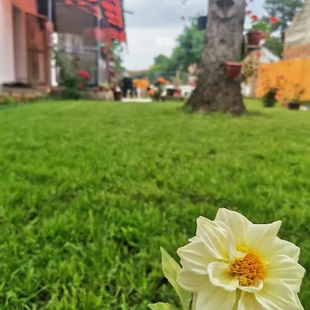 T.i.m. Bela Crkva (Banat)