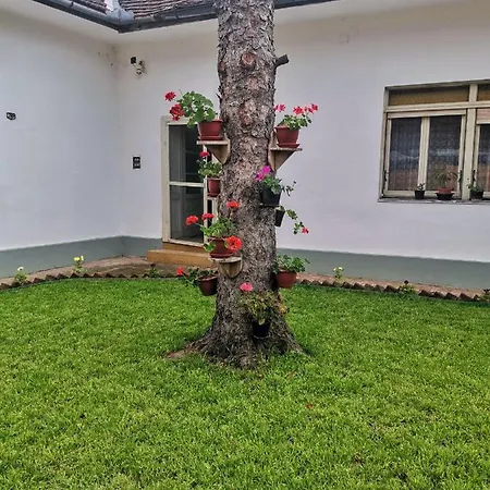 Apartament T.i.m. *
