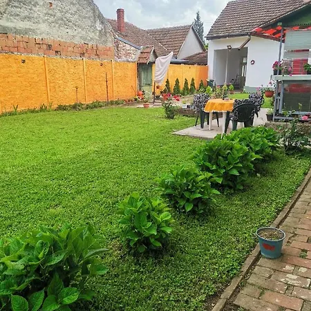 T.i.m. Apartament