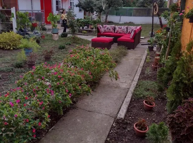 T.i.m. * Fehértemplom