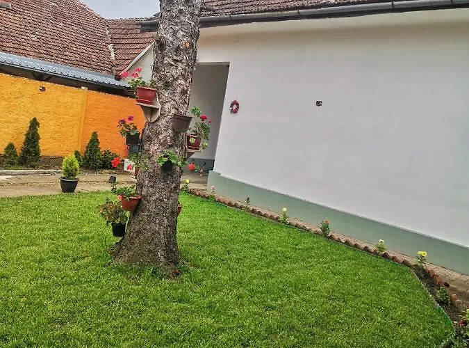 T.i.m. * Fehértemplom